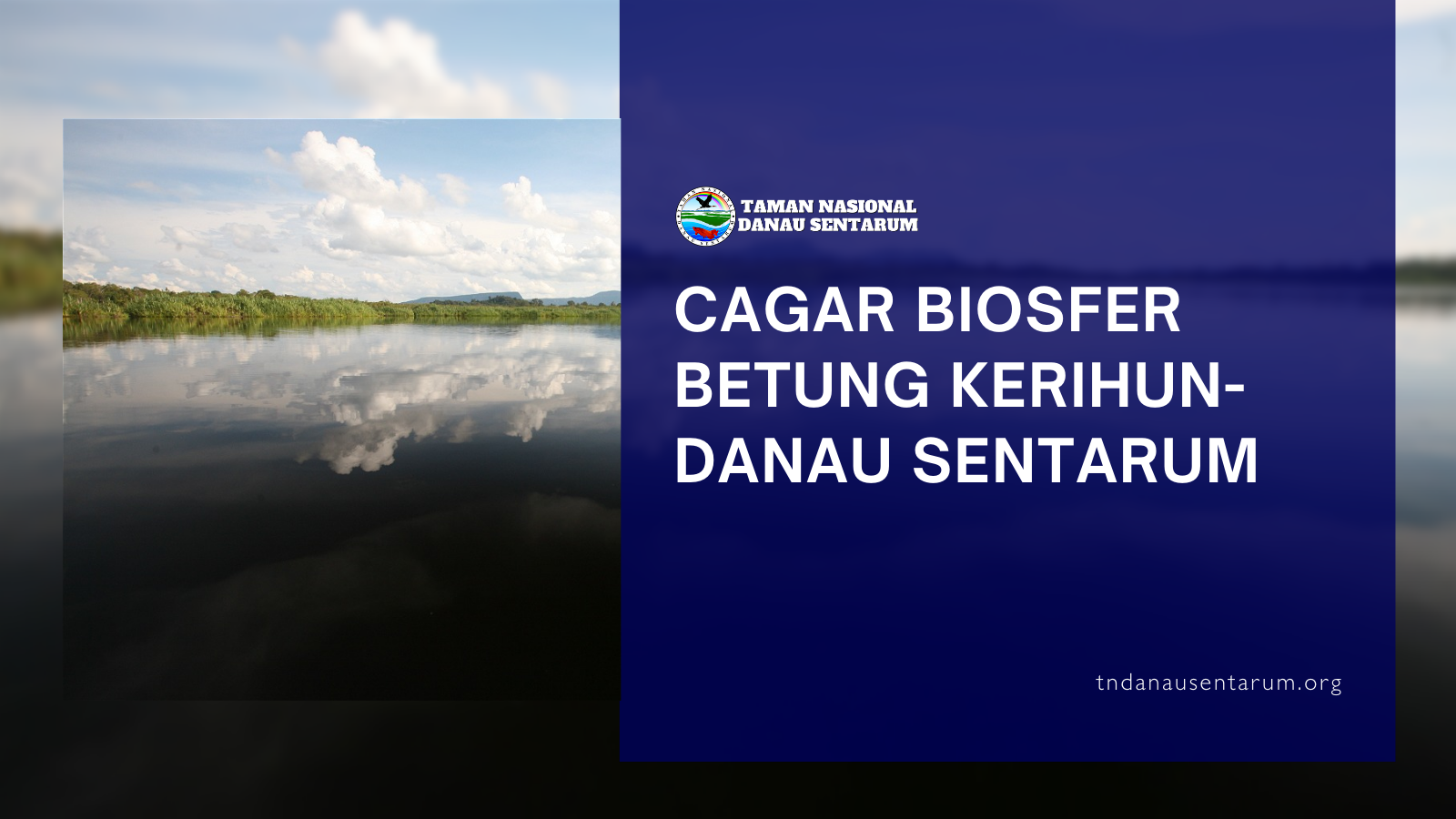 tndanausentarum.org