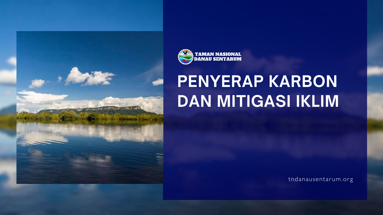tndanausentarum.org