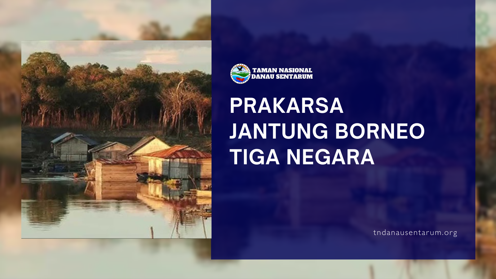 tndanausentarum.org