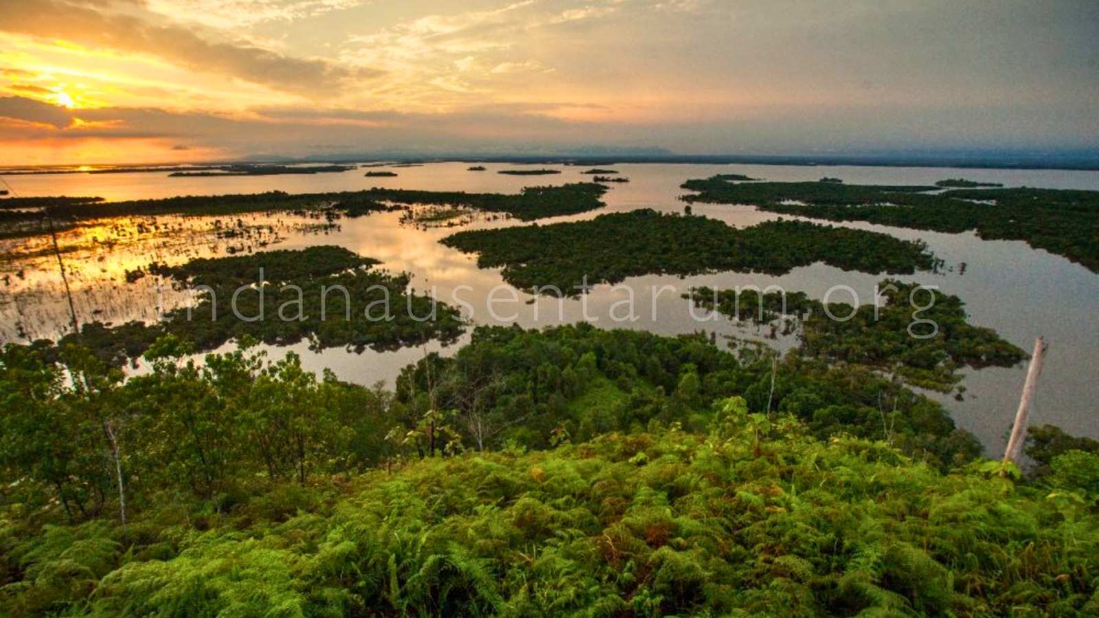 Ekowisata Edukatif di Danau Sentarum Wisata Alam yang Mengajarkan Cinta Lingkungan